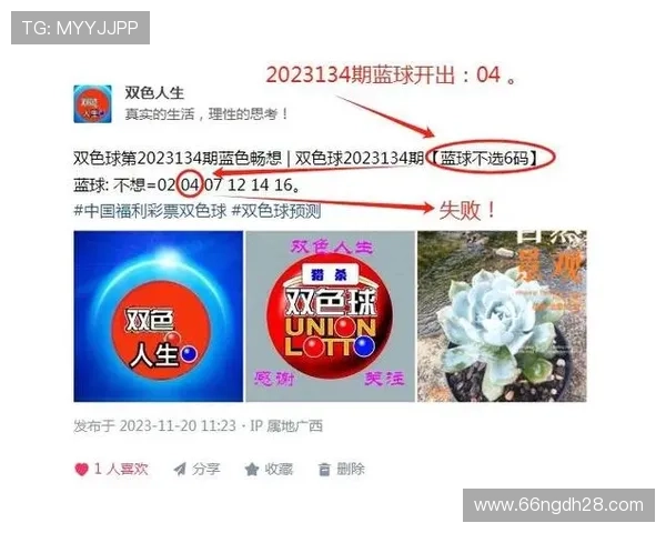 2025年澳门六开奖结果最新开奖记录查询与分析